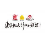 远丰案例丨远丰集团为中国央视搭建电商平台 助力民乐安居项目