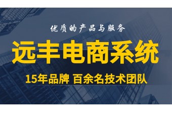 搭建跨境电商平台需要多少钱？