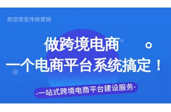 搭建跨境电商平台的优势你知道吗？