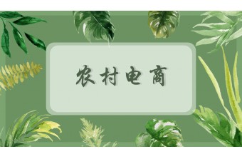 农村电商疯狂增长!国家重点扶持的农村电商项目2019年会带来哪些新机遇?