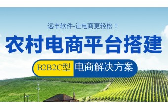 远丰软件丨搭建一个农村电商平台需要多少钱?