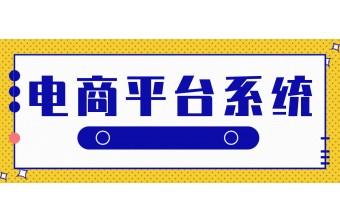 电商平台系统有几种呢