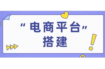 电商平台搭建以及花费
