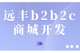 b2b2c商城开发有哪些模式？