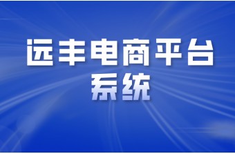 建一个电商平台系统要多少钱