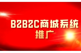 B2B2C商城系统推广怎么做