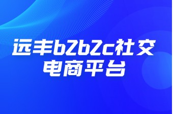 b2b2c社交电商平台如何选择靠谱的