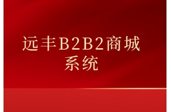 b2b2c商城系统有哪些优势和价值