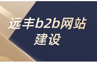 b2b网站建设的要求有哪些