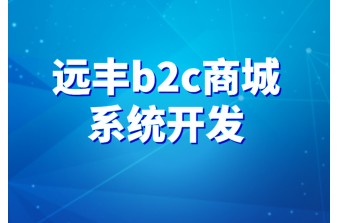 b2c商城系统开发的流程你了解多少?