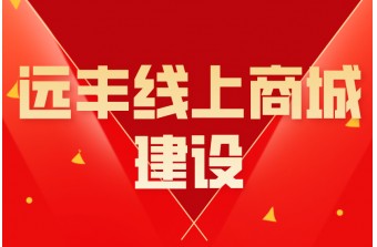 线上商城建设方式
