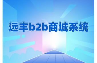 b2b商城系统的好处