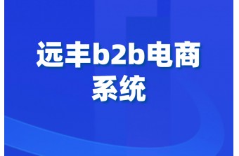 b2b电商系统搭建定位