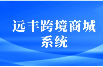 跨境商城系统开发方式