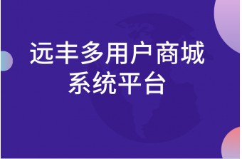 企业搭建多用户商城系统平台的全面解析