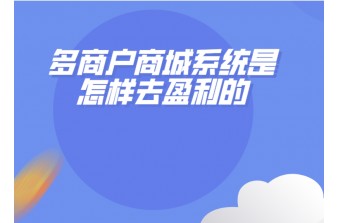 多商户商城系统是怎样去盈利的