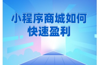 小程序商城如何快速盈利