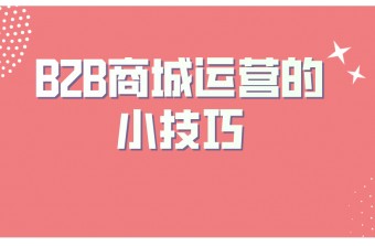 B2B商城运营的小技巧