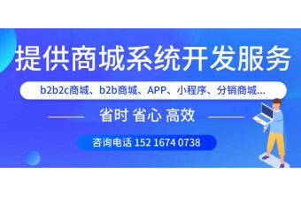 B2C商城网站的建站方式