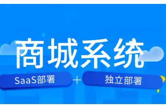 商城系统定制的要点和选择事项
