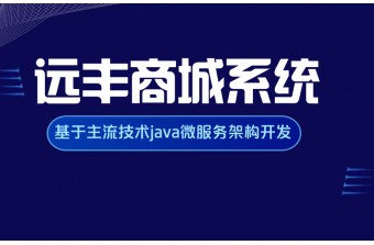 网上商城系统开发的主流语言有哪些？