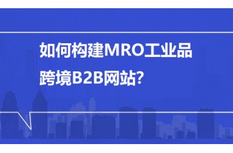 如何构建MRO工业品跨境B2B网站？