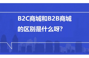 B2C商城和B2B商城的区别是什么呀？