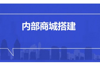 内部商城搭建全流程解析