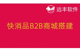 快消品B2B商城搭建