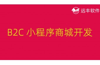 B2C 小程序商城开发