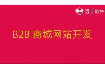 B2B商城网站开发