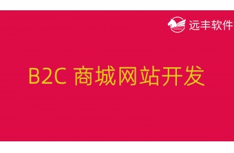 B2C商城网站开发