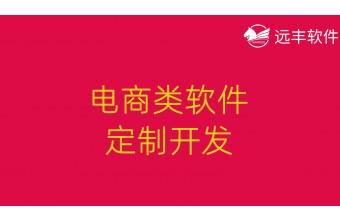 电商类软件定制开发