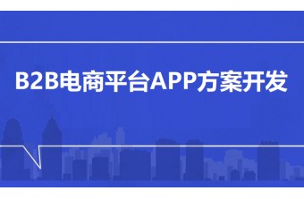 B2B电商平台APP方案开发