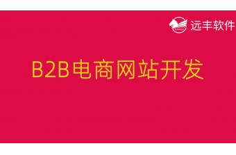 B2B电商网站开发