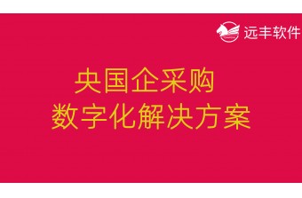 央国企采购数字化解决方案