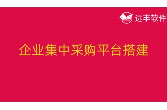 企业集中采购平台搭建