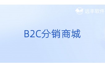 B2C分销商城