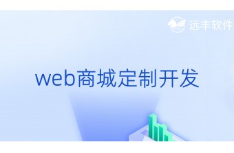 web商城定制开发