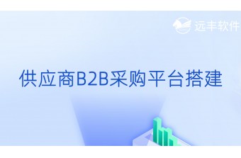 供应商 B2B 采购平台搭建方案