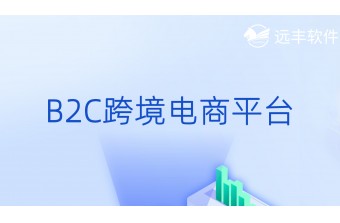 B2C跨境电商平台搭建