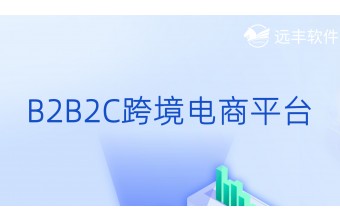 B2B2C跨境电商平台