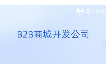 B2B商城开发公司