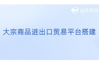 大宗商品进出口贸易平台搭建