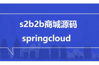 s2b2b商城源码 springcloud