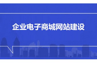 企业电子商城网站建设