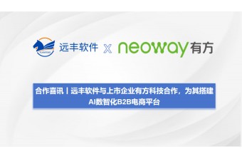 远丰软件与上市公司有方科技合作，为其打造AI数智化B2B电商平台