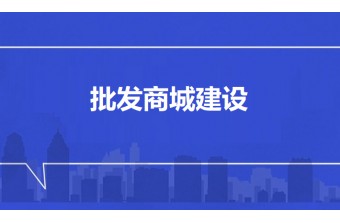 批发商城建设