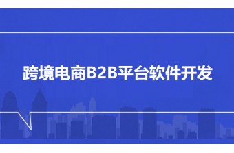 跨境电商B2B平台软件开发