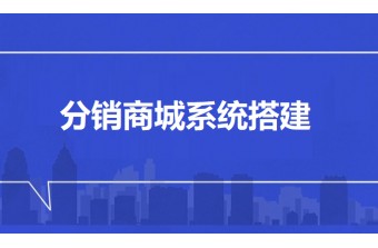 分销商城系统搭建公司